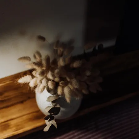 Apartmán Lešovice Nectiny